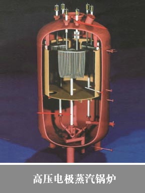 高压电极蒸汽锅炉